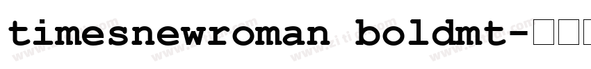 timesnewroman boldmt字体转换